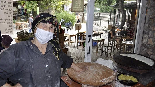 Asırlık çınar ağacı