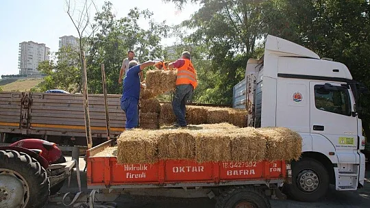 Atakum'dan Antalya ve Muğla'ya dayanışma köprüsü