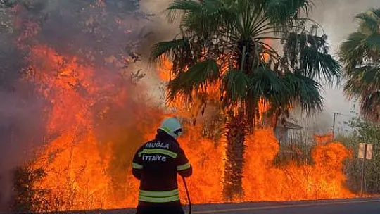 Araçta Başlayan Yangın Ağaçlara Sıçradı