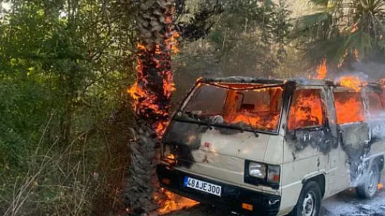 Araçta Başlayan Yangın Ağaçlara Sıçradı