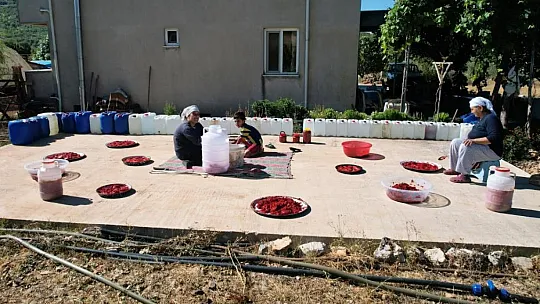 Muğla'da organik salça mevsimi