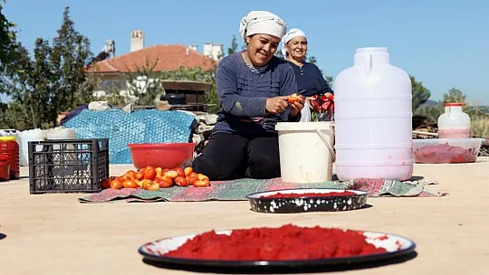 Muğla'da organik salça mevsimi