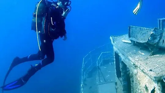 Dalgıçlar sualtı güzelliklerini görüntüledi