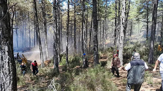 Bir günde 36 yıldırım yangını