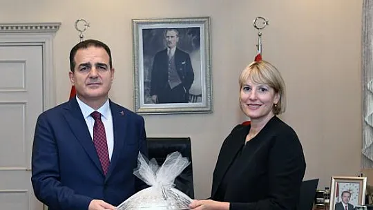 İngilizler sağlık turizmine de geliyor