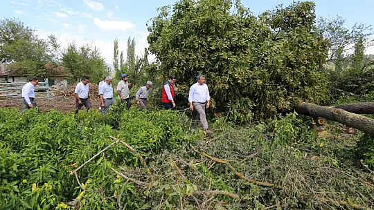 Saylak, 'Küresel iklim değişikliğine karşı tek güvencemiz sigorta'