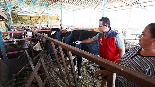 Sonbahar Dönemi Şap Aşılaması Başladı