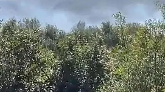 Makilik yangını ormana sıçramadan söndürüldü
