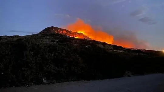 Yangında 60 dönümlük alan zarar gördü