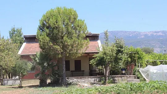 Pınar Gültekin cinayetinin nihai kararını Yargıtay Ceza dairesi verecek