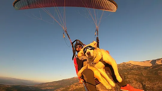 Köpeğiyle paraşüt atlayışı yaptı