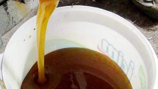 Çam balı rekoltesinde beklentiler gerçekleşmedi