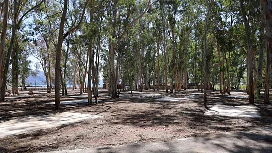 Başkan Oktay, 'Halkımız istedi, biz yaptık'