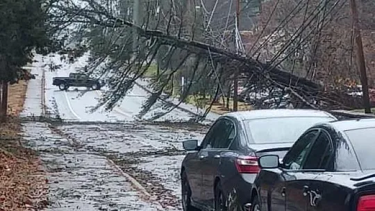 Fırtına vurdu, 3 ölü, 600 bin kişi elektriksiz kaldı