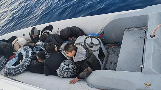 Düzensiz göçmenler yakalandı, 1 gözaltı