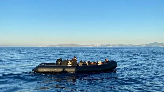 Düzensiz göçmenler yakalandı, 1 gözaltı