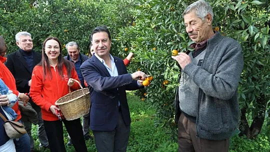 Konserler ve halkoyunları gösterileri iptal edildi