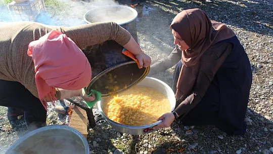 Köyceğiz'de 'portakal reçeli şenliği'