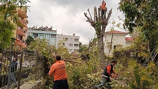 Park ve bahçeler ilçenin çehresini değiştiriyor