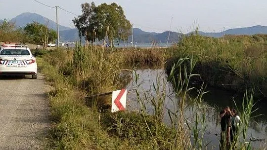 Dereye düşen otomobilin üstüne çıkarak kurtarılmayı beklediler