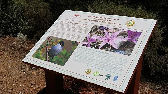 Köyceğiz Ekoturizm Rotası 'Yeşil Nefes' sloganıyla tanıtılacak