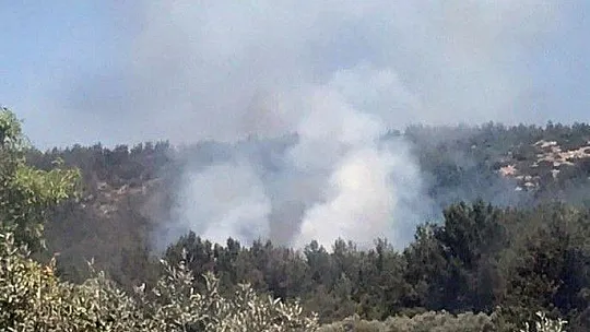 Muğla'da orman yangını