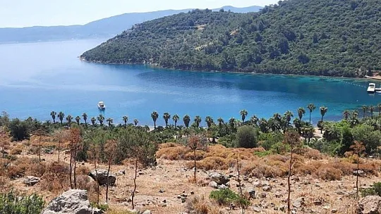 Tarihi kalıntılara aldırış etmeden yol açtılar