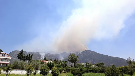 Köyceğiz orman yangını devam ediyor