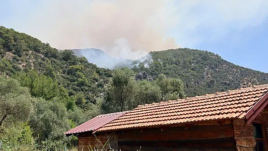Köyceğiz orman yangını devam ediyor
