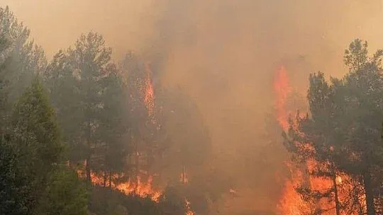 Seydikemer 'Çökek, Dere ve Bayır' Yangını Kontrol altına alındı