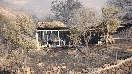 Bodrum yeniden alevlere teslim oldu