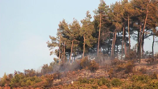 Kavaklıdere yangını kontrol altına alındı
