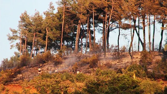 Kavaklıdere yangını kontrol altına alındı