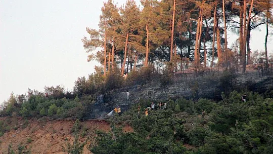 Kavaklıdere yangını kontrol altına alındı