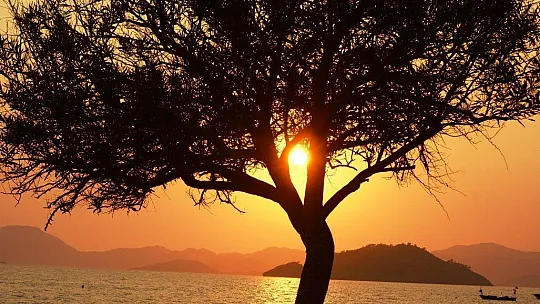 Fethiye'de görsel şölen