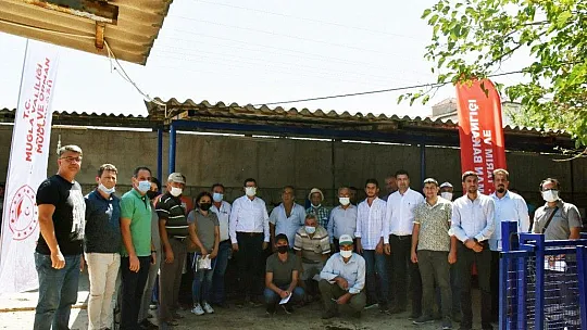 Yangın mağduru çiftçilere hayvan desteği