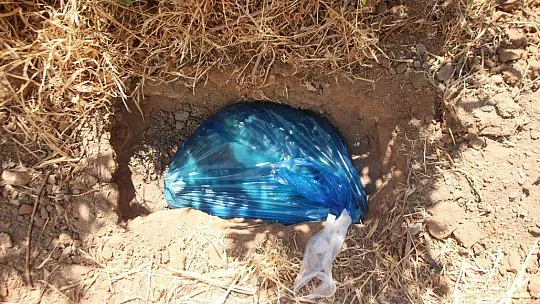 Mahalleli zehirlenen canlar için ayağa kalktı