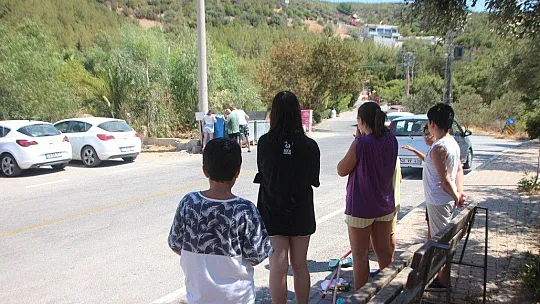 Mahalleli zehirlenen canlar için ayağa kalktı