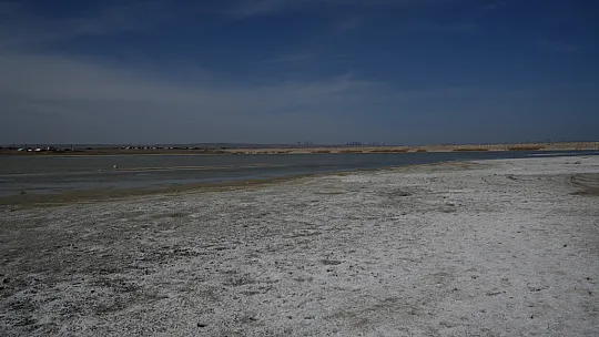 Flamingoların yaşam alanı tehdit altında