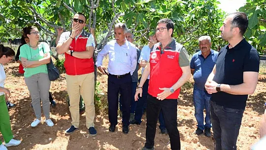 İncir üreticilerine uygulamalı eğitim