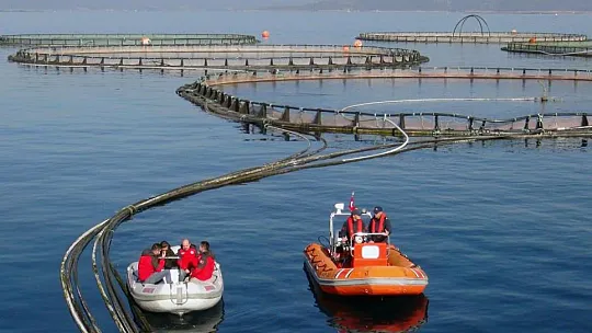 Muğla, tarım ihracatında Ege'de üçüncü il