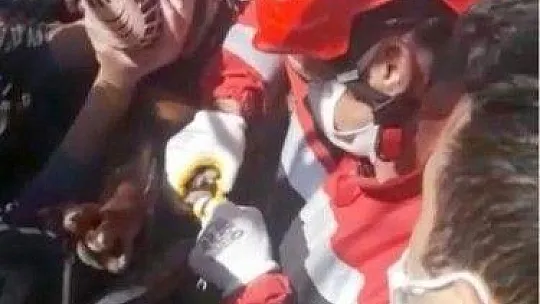 Ayağı demir korkuluğa saplanan köpek kurtarıldı