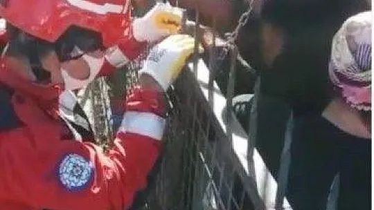 Ayağı demir korkuluğa saplanan köpek kurtarıldı