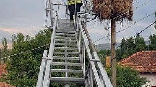 Ayağına ip dolanan Leylek İtfaiye tarafından kurtarıldı