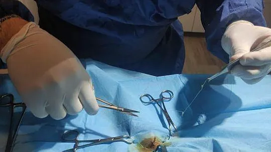 Kediye başarılı operasyon
