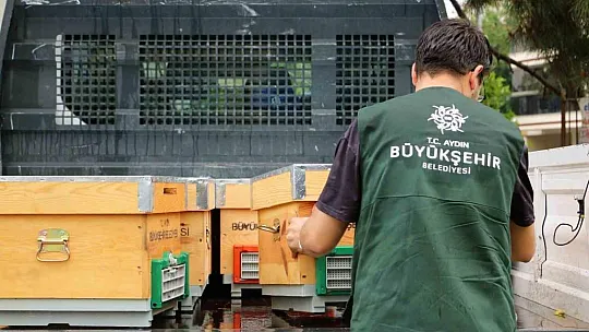 Kadın arıcılara kovan desteği