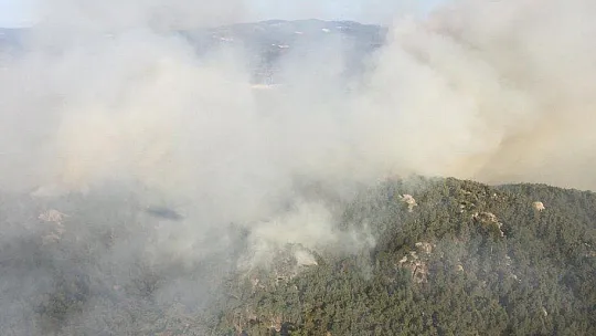 Aydın'da başlayarak Muğla'ya ulaşan orman yangını kontrol altına alındı