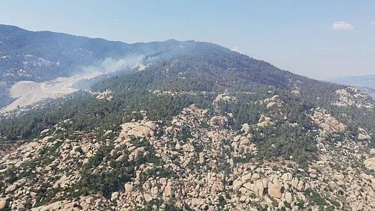 Aydın'da başlayarak Muğla'ya ulaşan orman yangını kontrol altına alındı