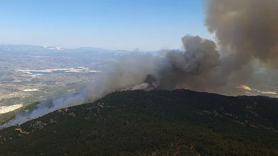 Aydın'dan Muğla'ya sıçrayan yangın devam ediyor
