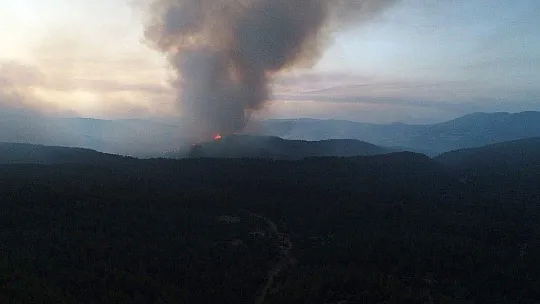 Aydın-Muğla sınırında başlayan orman yangına müdahale sürüyor